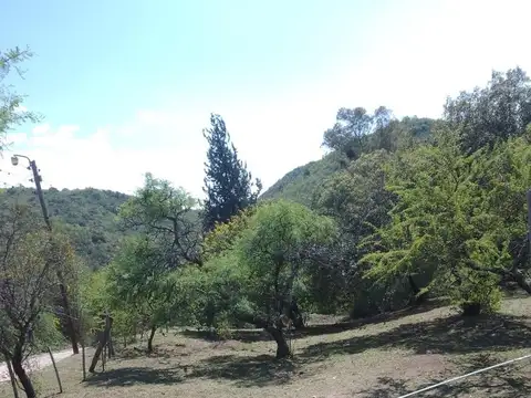 Terreno en Venta de 808,0 m2