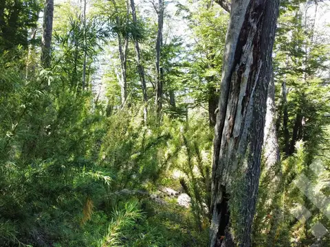 Terreno en Venta de 600,0 m2