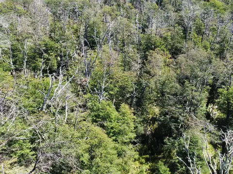 VENTA TERRENO 600 M2 - Bº KALEUCHE ALTO - SAN MARTIN DE LOS ANDES