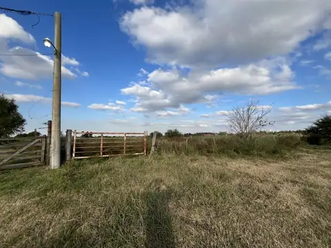 Campo en  Alvear