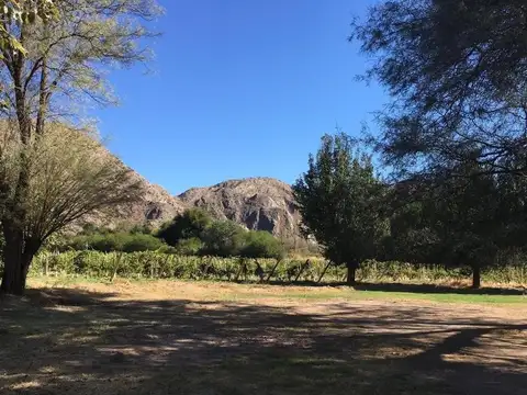 San Jose 100