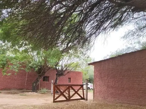 San Jose 100