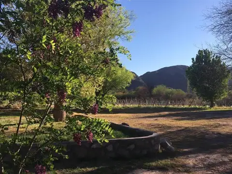 VENTA DE FINCA Y BODEGA EN CATAMARCA