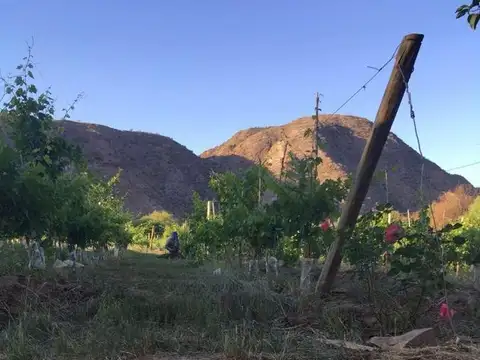VENTA DE FINCA Y BODEGA EN CATAMARCA