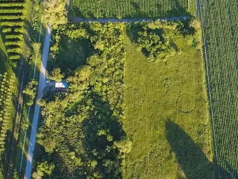 VENTA TERRENO DE 15.600M2 EN COLOMBRES CRUZ ALTA