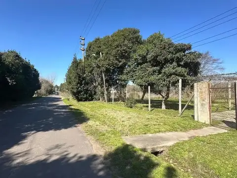 146 E/ 458 Y 467