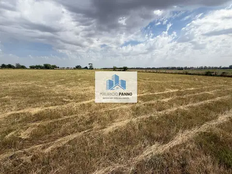 Antartida Argentina y Alem Capitan 100