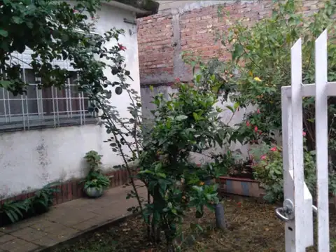 Las Camelias 6925