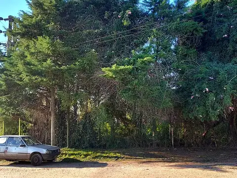 Terreno en Venta 12,50  mts Frente