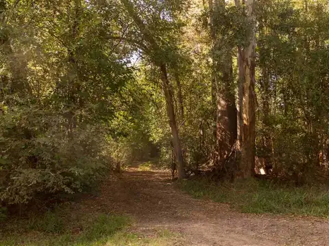 Venta Lote 3200 m2 -Monte Hoffmann Exaltación Cruz