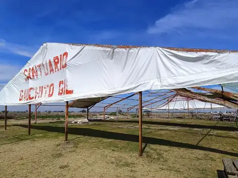 Ruta 6