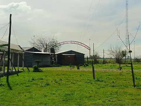 Ruta 6