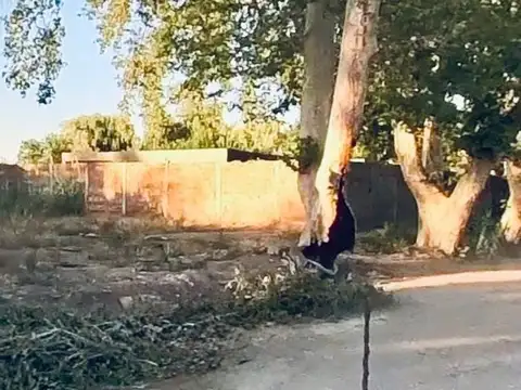 LOTE EN VENTA ZONA ACCESO ESTE LAS HERAS