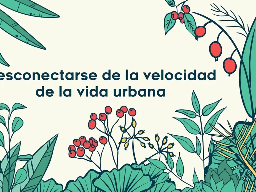 Aralis Rivadavia - Foto 14