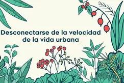 Aralis Rivadavia - Foto 14