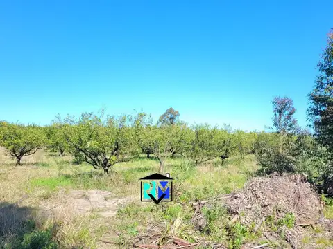 Virgen De Fátima 4500