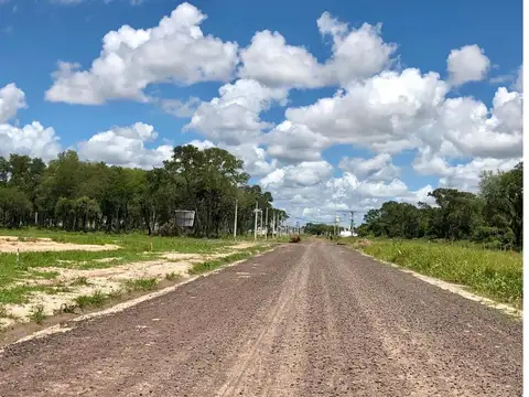 Avalos 4000