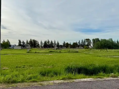 Terreno en Venta de 600,0 m2