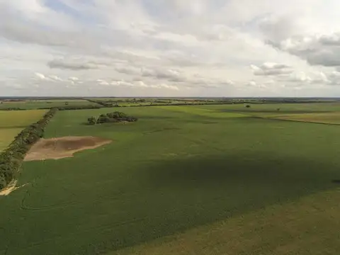 VENTA CAMPO DE 49,21 HAS. EN MARIA LUISA