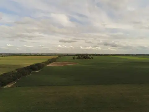 VENTA CAMPO DE 49,21 HAS. EN MARIA LUISA