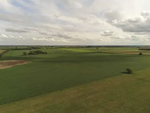 VENTA CAMPO DE 49,21 HAS. EN MARIA LUISA