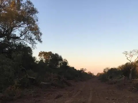 Ruta 95 Km 1246.5