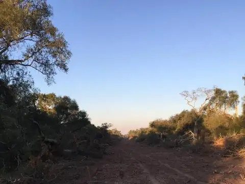 Ruta 95