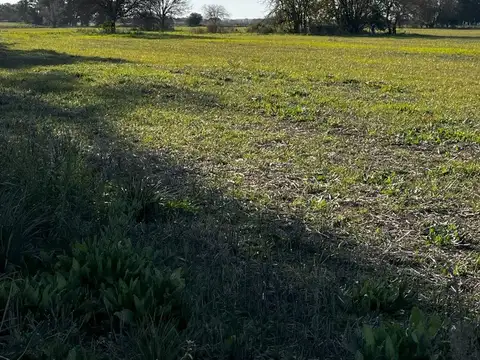 av. pavon s/n camino a los cardales