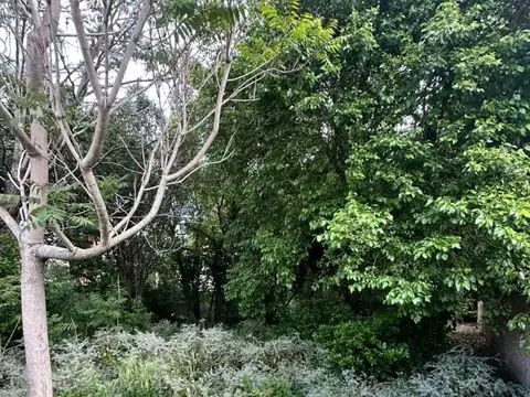 Terreno en Venta en Gregorio De Laferrere, USD 89.000