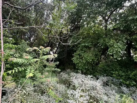 Terreno - Venta - Argentina, La Matanza - Garcia Merou 585052