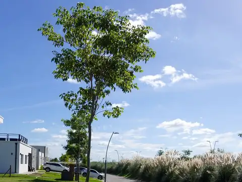 VENTA LOTE EN PUERTOS DEL LAGO BARRIO RIBERAS