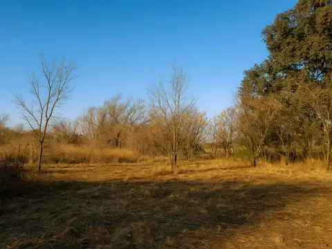 Terreno en Venta de 3445,0 m2