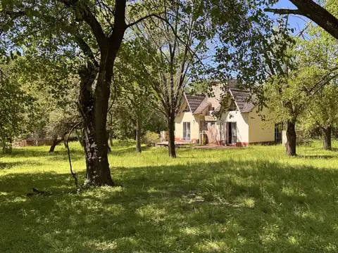 Complejo Importante Parque zona entre Colón y San José 