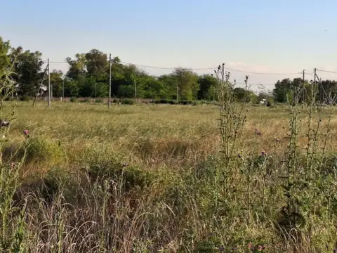 Terreno en Venta en Guernica, USD 15.900