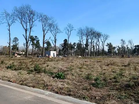 VENTA LOTE "LA ESTELA" 63OM2