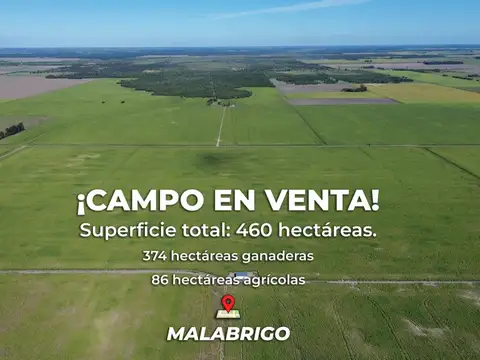 Campo mixto en MALABRIGO (Santa Fe)