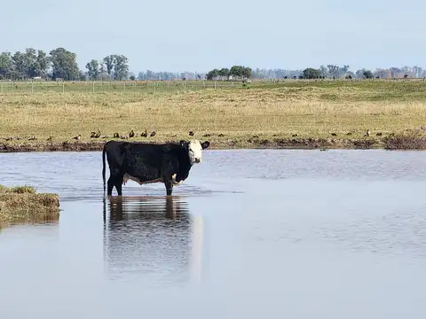 Terreno en Venta de 1000,0 m2