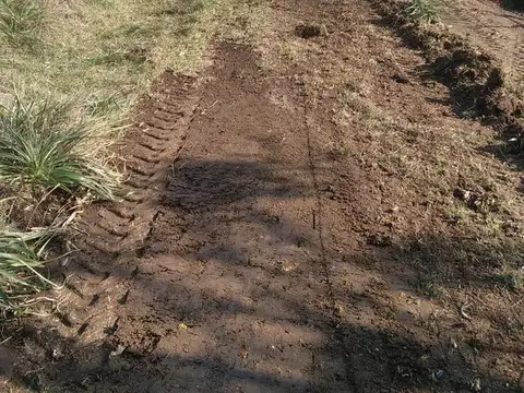 ruta 205 y 6