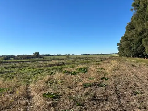 Oportunidad campo con acceso asfaltado y acceso a luz.