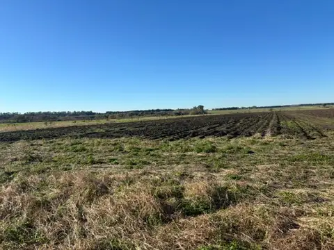 Campo en Venta de 15  ha