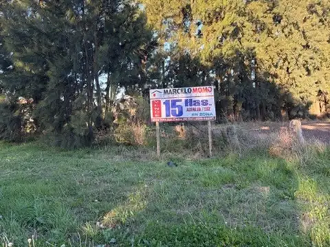 Oportunidad campo con acceso asfaltado y acceso a luz.