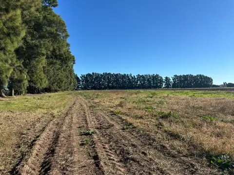 Oportunidad campo con acceso asfaltado y acceso a luz.