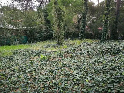 Avenida Boulevard 200