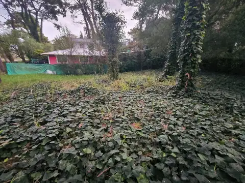 Terreno en Venta 19  mts Fondo