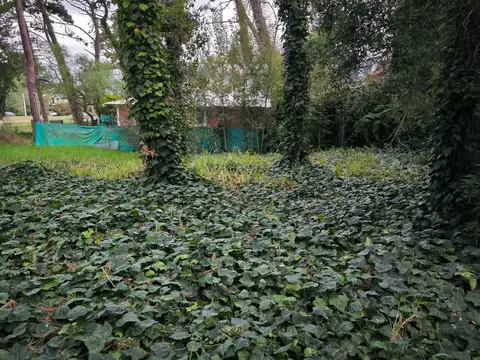 Terreno en Venta, FOS 0,4