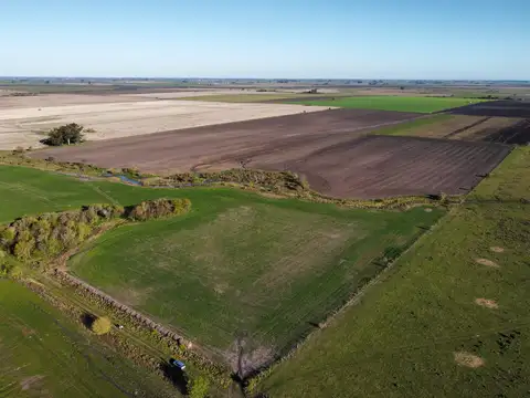 83 has Campo en venta en Pueblo Cazes 100% agrícola