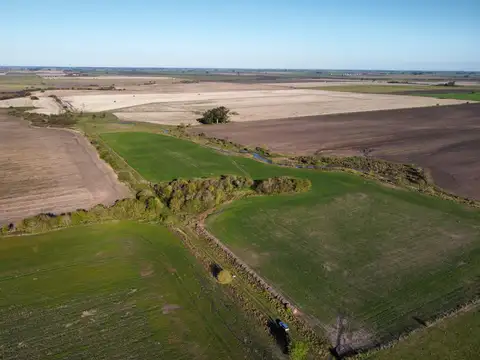 83 has campo agrícola