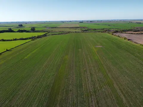 Campo en Venta de 83  ha