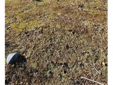 Terreno en Venta de 1800,0 m2