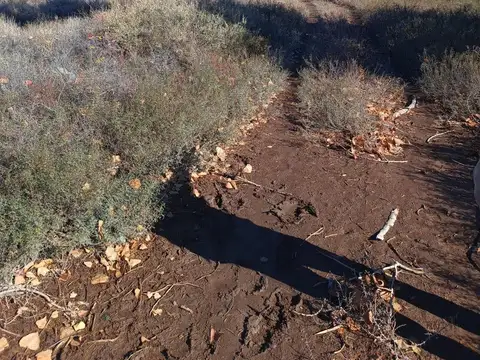 Terreno en  Venta